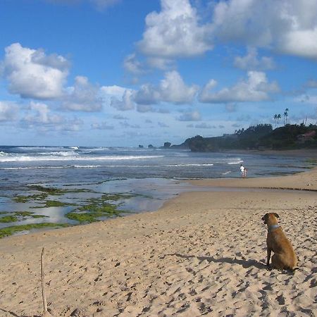 Round House Hotel Bathsheba Esterno foto